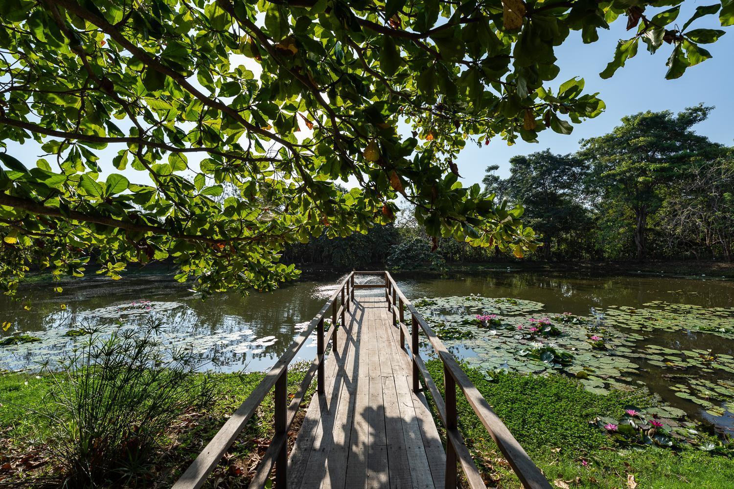 Aite Eco Resort 팔로미노 외부 사진