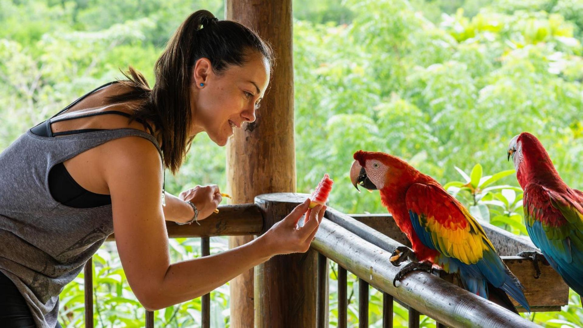 Aite Eco Resort 팔로미노 외부 사진