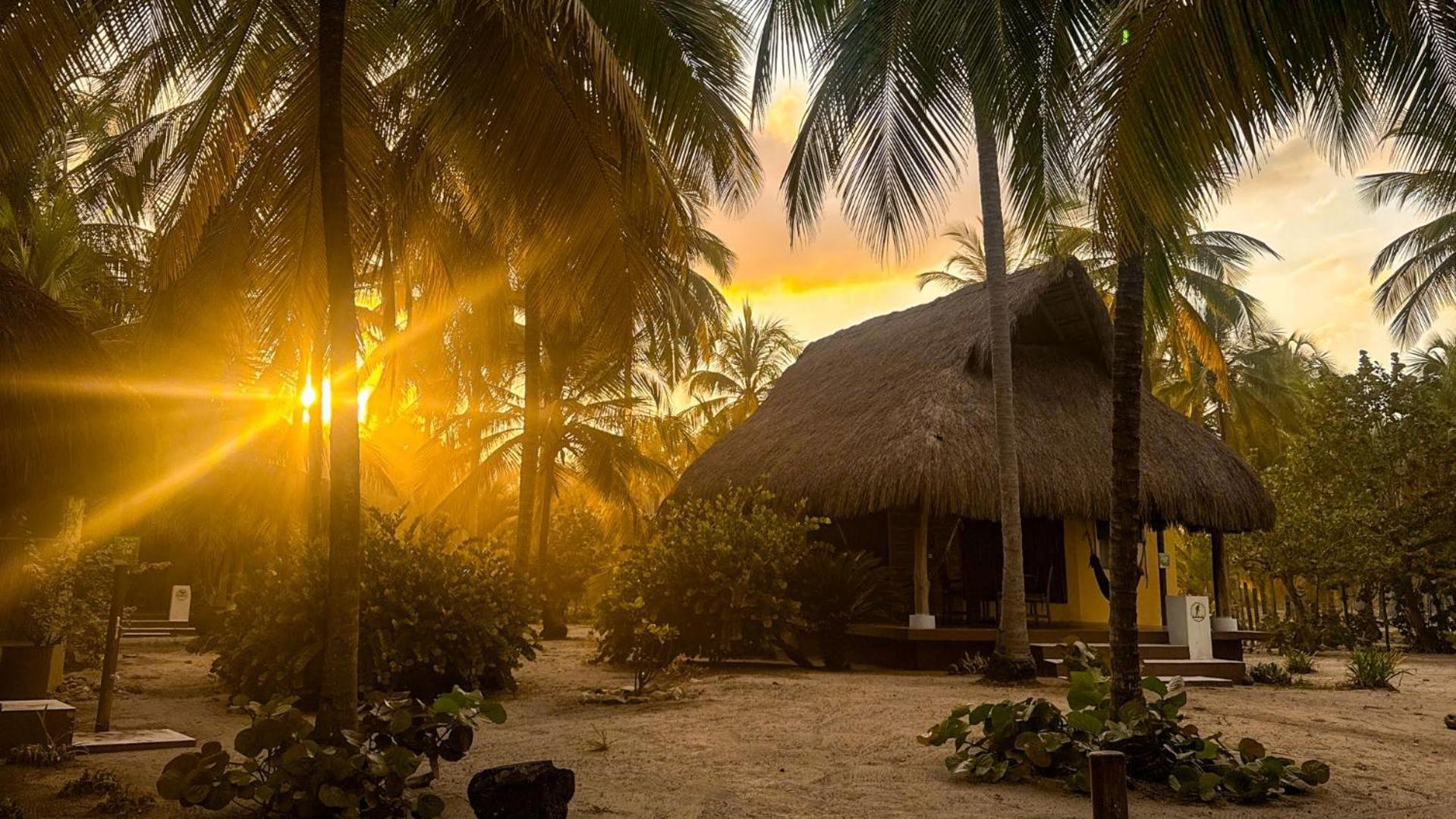 Aite Eco Resort 팔로미노 외부 사진