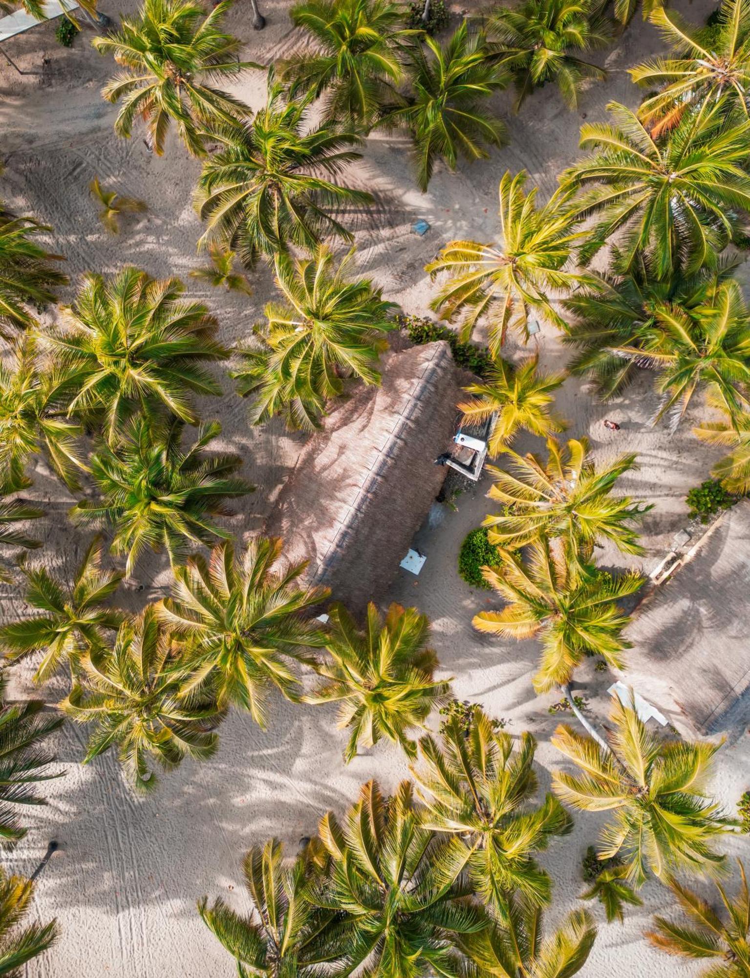 Aite Eco Resort 팔로미노 외부 사진
